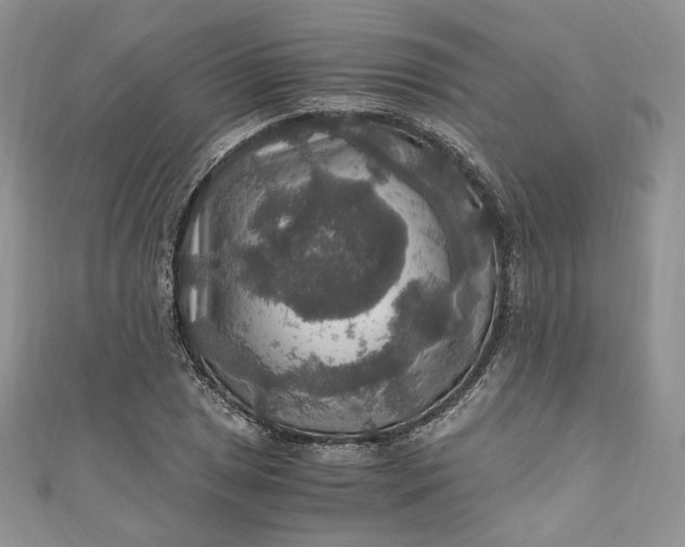 X0000110891025200907021513