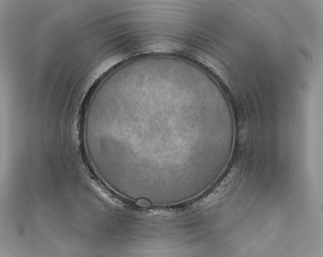 X0000110891026200907021513