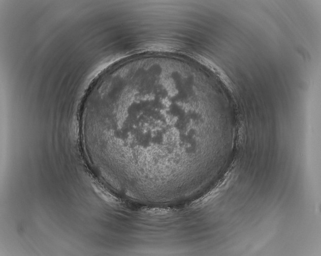 X0000110891027200907021513