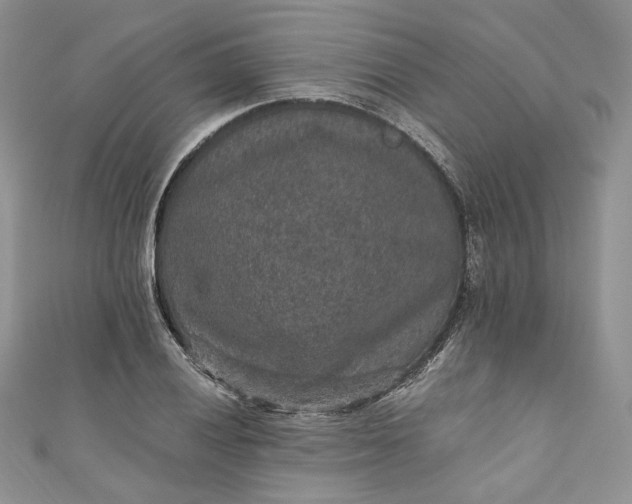 X0000110891028200907021513