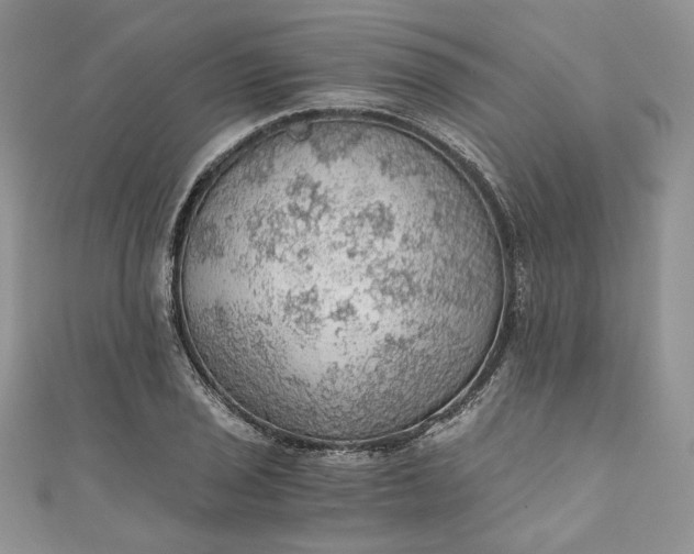 X0000110891029200907021513