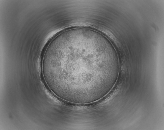 X0000110891030200907021513