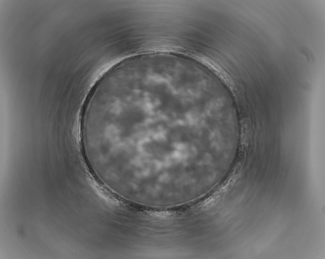 X0000110891031200907021513