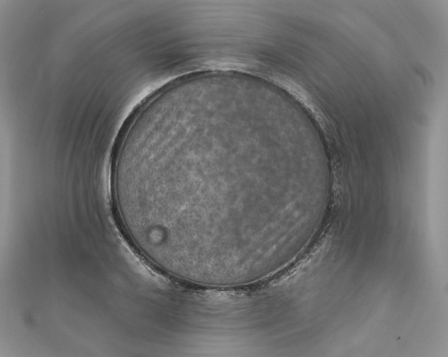 X0000110891032200907021513