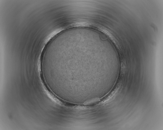 X0000110891034200907021513