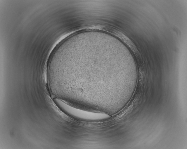 X0000110891036200907021513