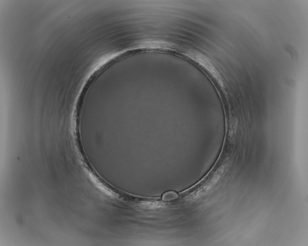 X0000110891037200907021513