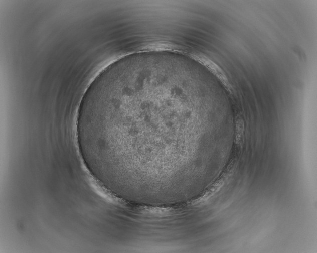 X0000110891039200907021513