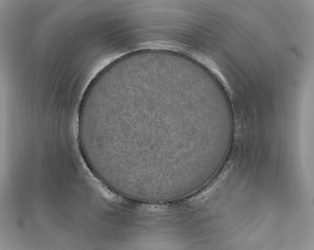 X0000110891040200907021513
