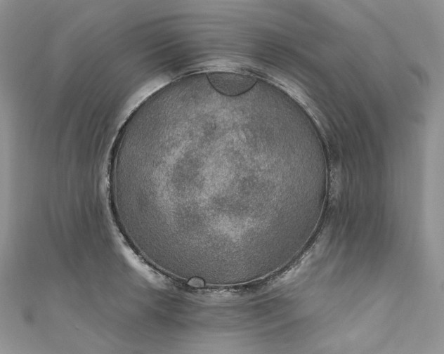 X0000110891042200907021513