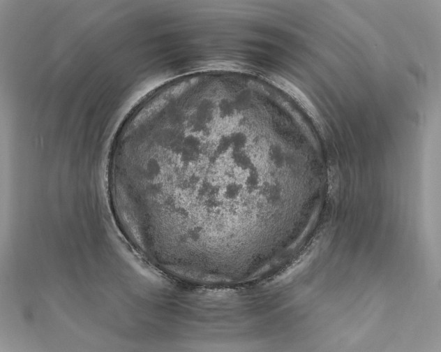 X0000110891043200907021513