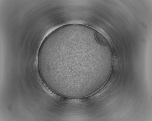 X0000110891044200907021513