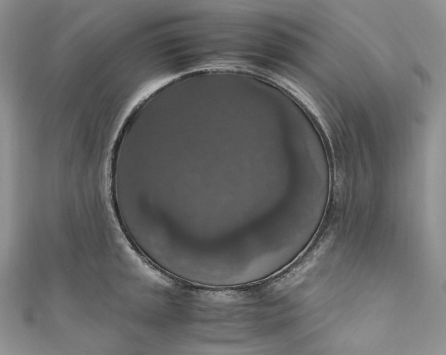 X0000110891045200907021513