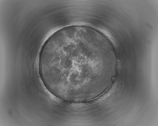 X0000110891046200907021513