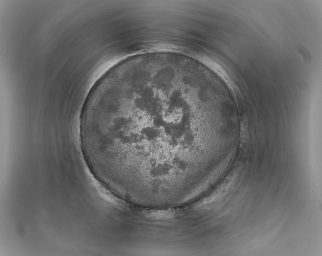 X0000110891047200907021513