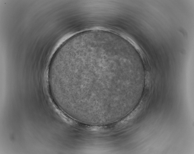 X0000110891048200907021513