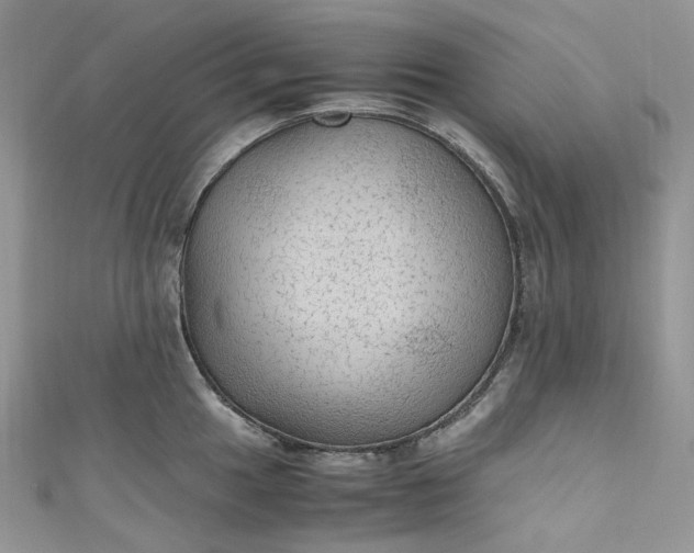 X0000110891049200907021513