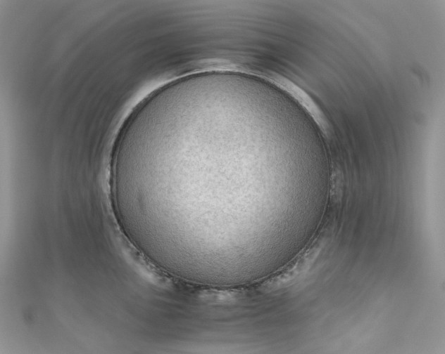 X0000110891051200907021513