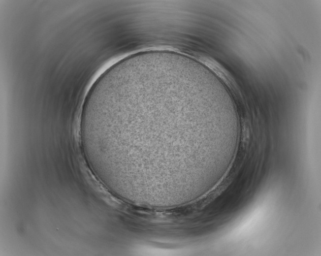 X0000110891052200907021513