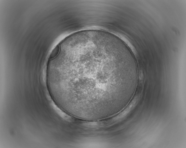 X0000110891054200907021513