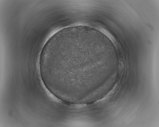 X0000110891055200907021513