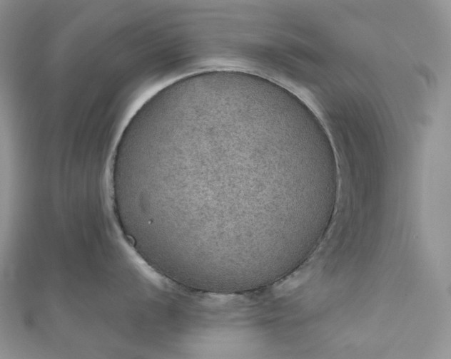 X0000110891056200907021513