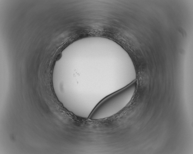 X0000110891057200907021513