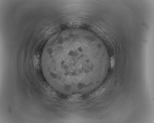 X0000110891059200907021513