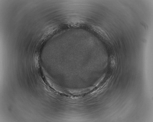 X0000110891060200907021513