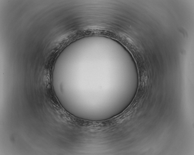 X0000110891062200907021513