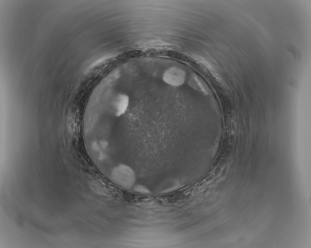 X0000110891063200907021513