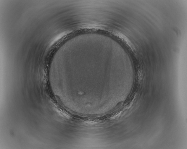 X0000110891064200907021513