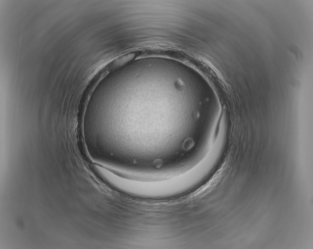 X0000110891065200907021513
