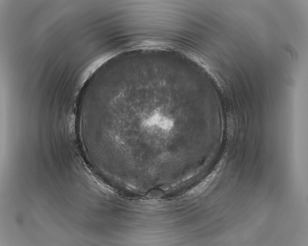 X0000110891066200907021513