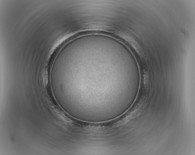 X0000110891069200907021513