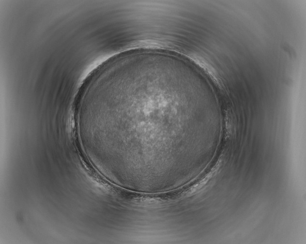 X0000110891070200907021512