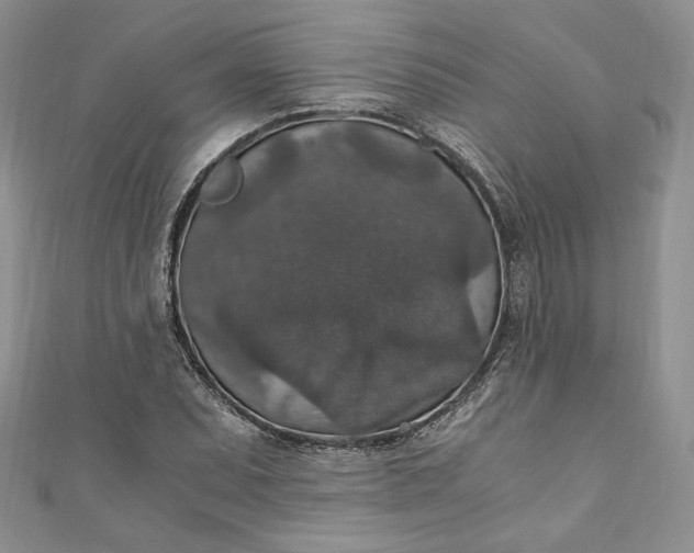 X0000110891071200907021512