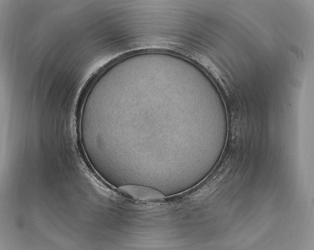 X0000110891072200907021512