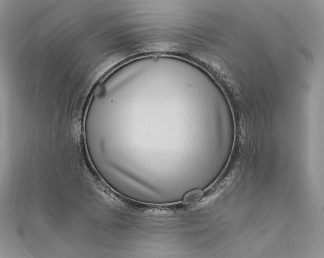 X0000110891073200907021512