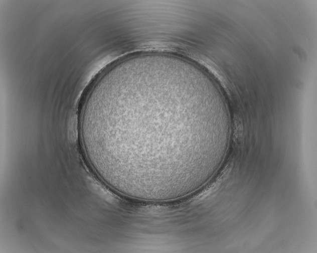 X0000110891075200907021512