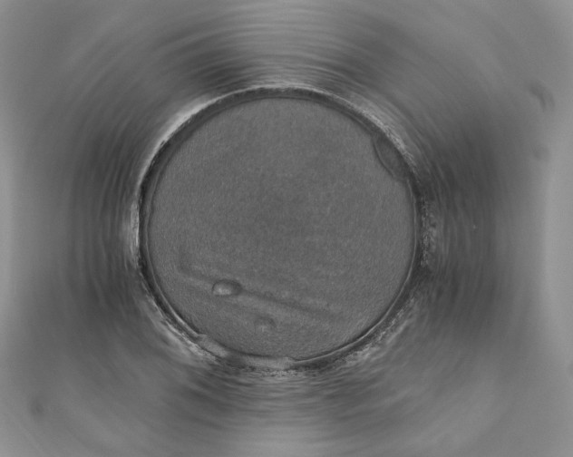 X0000110891076200907021512