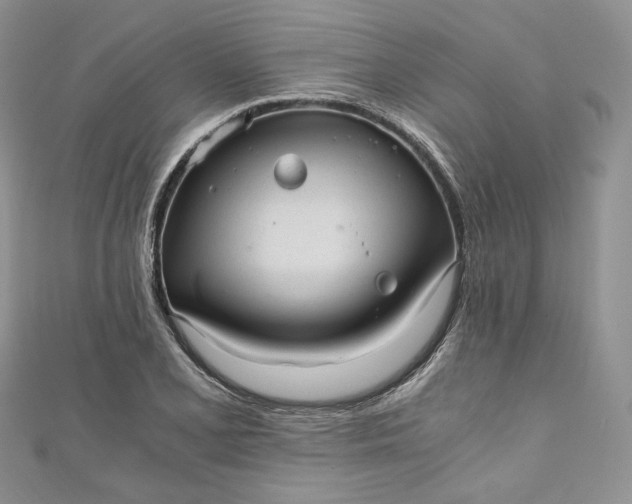 X0000110891077200907021512