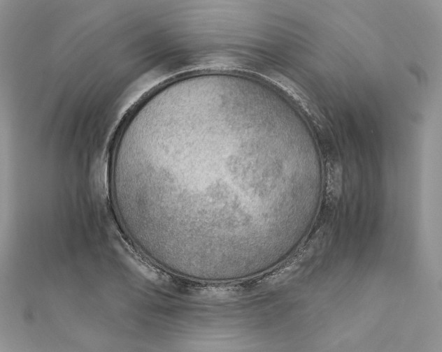 X0000110891078200907021512