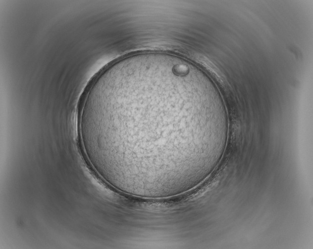 X0000110891079200907021512