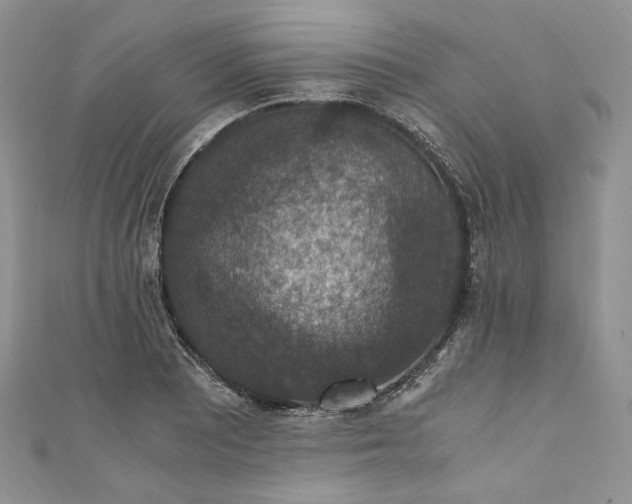 X0000110891081200907021512
