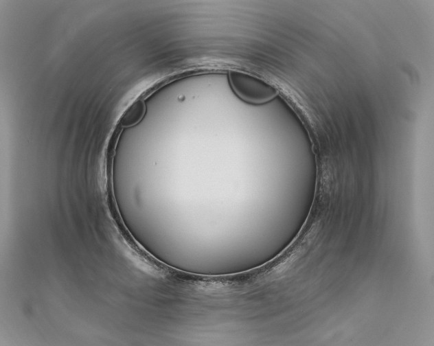 X0000110891082200907021512