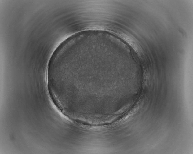 X0000110891084200907021512