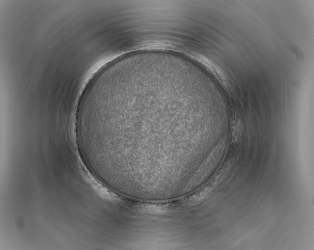 X0000110891086200907021512