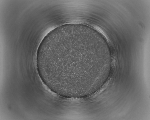 X0000110891087200907021512