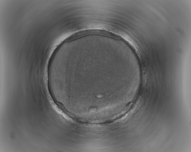 X0000110891088200907021512
